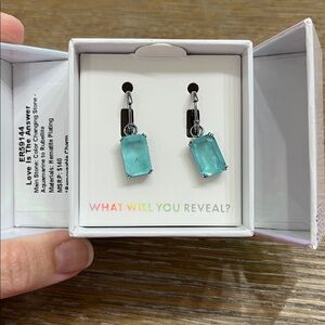 Bomb Party Color Change Earrings